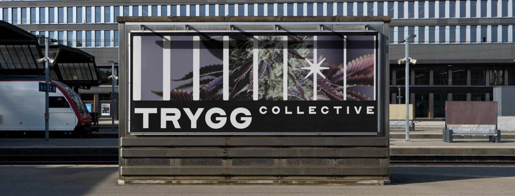 TRYGG Collective facility in British Columbia