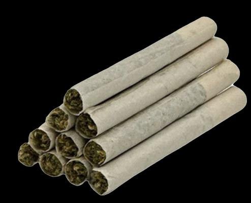 TRYGG pre-rolls