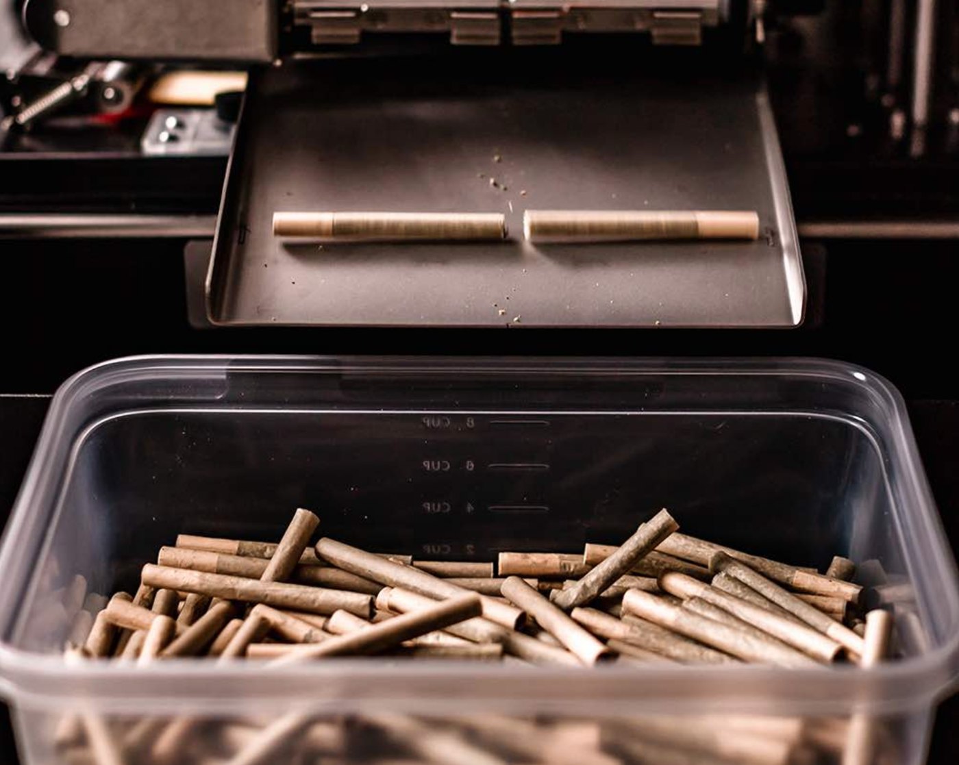 Pre-roll production at TRYGG